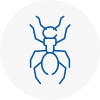 Ant Removals In Roehampton