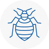 Bed Bug Extermination In Roehampton