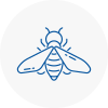 Bee Nest Removal Roehampton