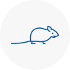 Mice Exterminators In Roehampton