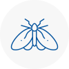 Moth Control Specialists In Roehampton