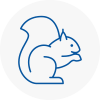 Roehampton Rodent Removals